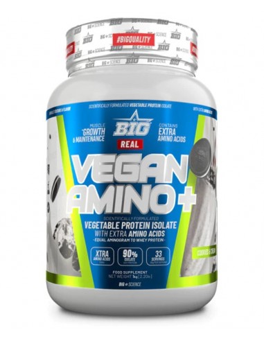 REAL VEGAN AMINO PLUS 1Kg