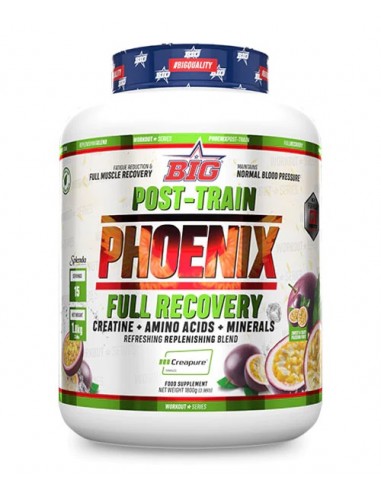 PHOENIX1800g RECUPERADOR POST-ENTRENO...