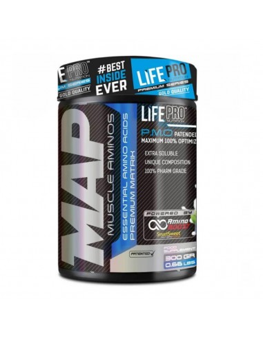 LIFE PRO MAP 300 GRS