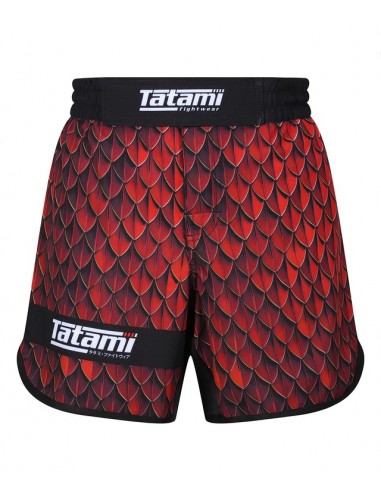 Pantalones cortos TATAMI Recharge...